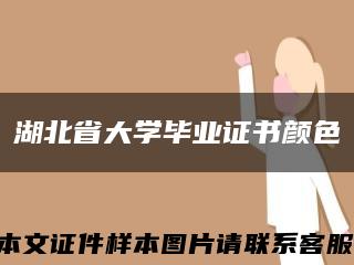 湖北省大学毕业证书颜色缩略图