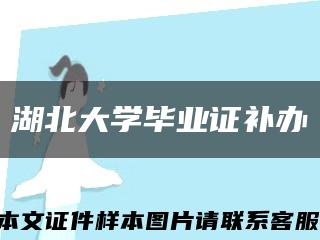 湖北大学毕业证补办缩略图