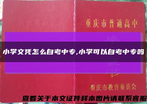 小学文凭怎么自考中专,小学可以自考中专吗缩略图