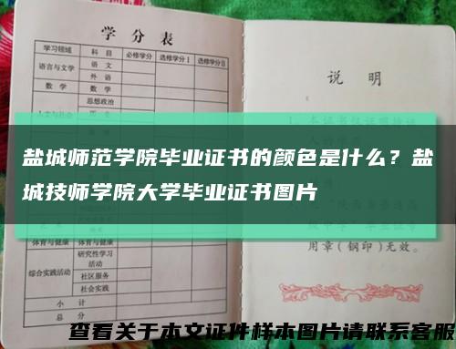 盐城师范学院毕业证书的颜色是什么？盐城技师学院大学毕业证书图片缩略图