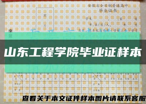 山东工程学院毕业证样本缩略图