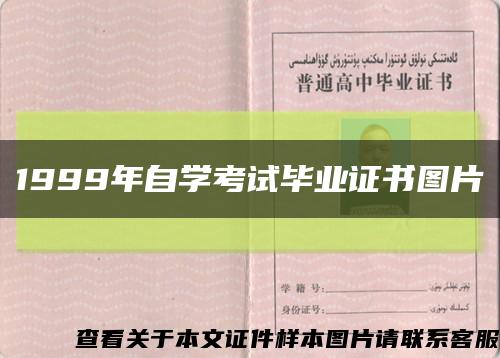 1999年自学考试毕业证书图片缩略图