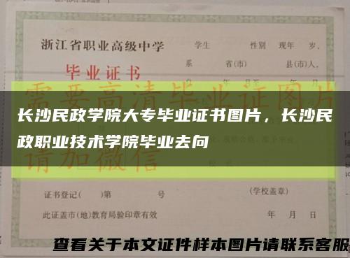 长沙民政学院大专毕业证书图片，长沙民政职业技术学院毕业去向缩略图