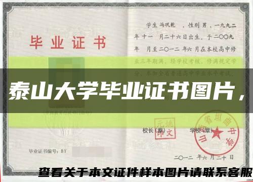 泰山大学毕业证书图片，缩略图