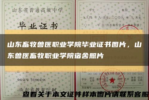 山东畜牧兽医职业学院毕业证书图片，山东兽医畜牧职业学院宿舍照片缩略图