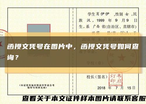 函授文凭号在图片中，函授文凭号如何查询？缩略图