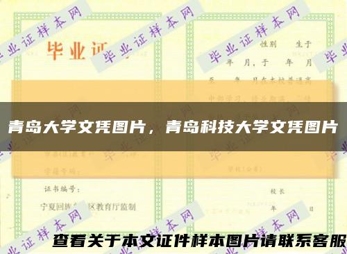 青岛大学文凭图片，青岛科技大学文凭图片缩略图