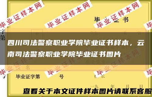 四川司法警察职业学院毕业证书样本，云南司法警察职业学院毕业证书图片缩略图