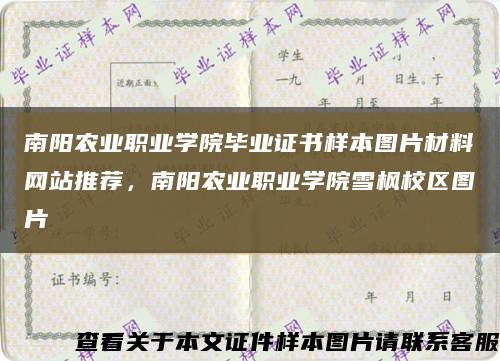 南阳农业职业学院毕业证书样本图片材料网站推荐，南阳农业职业学院雪枫校区图片缩略图