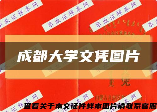 成都大学文凭图片缩略图