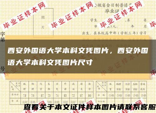 西安外国语大学本科文凭图片，西安外国语大学本科文凭图片尺寸缩略图