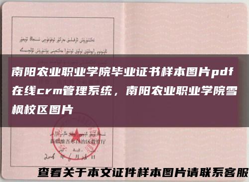 南阳农业职业学院毕业证书样本图片pdf在线crm管理系统，南阳农业职业学院雪枫校区图片缩略图