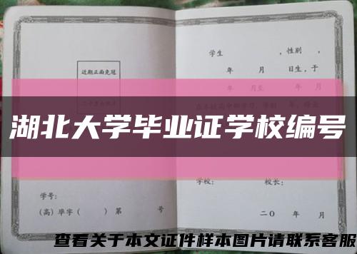 湖北大学毕业证学校编号缩略图