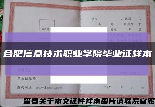 合肥信息技术职业学院毕业证样本缩略图