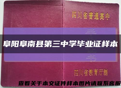 阜阳阜南县第三中学毕业证样本缩略图