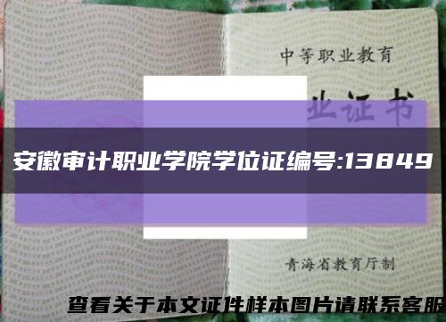 安徽审计职业学院学位证编号:13849缩略图