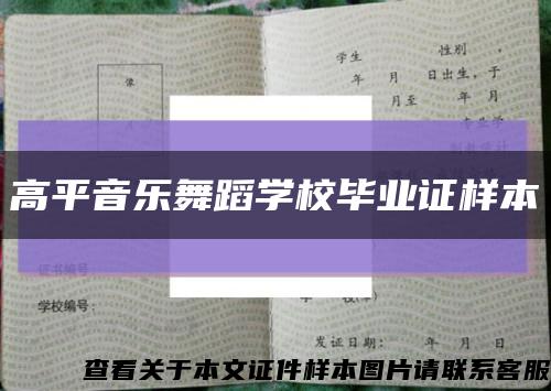 高平音乐舞蹈学校毕业证样本缩略图