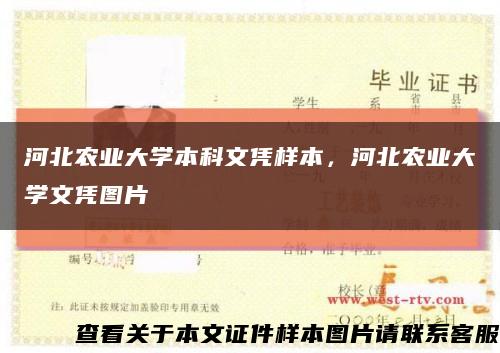 河北农业大学本科文凭样本，河北农业大学文凭图片缩略图