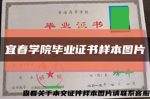 宜春学院毕业证书样本图片缩略图