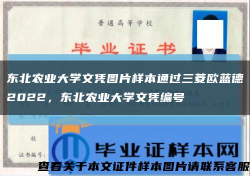 东北农业大学文凭图片样本通过三菱欧蓝德2022，东北农业大学文凭编号缩略图