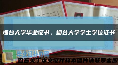 烟台大学毕业证书，烟台大学学士学位证书缩略图