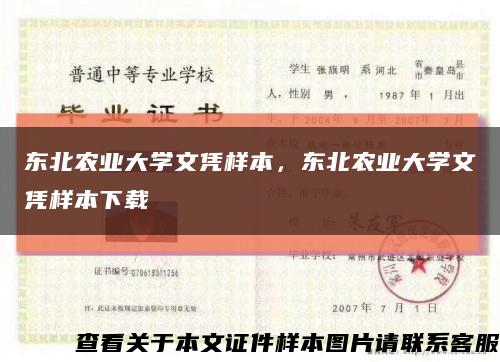 东北农业大学文凭样本，东北农业大学文凭样本下载缩略图