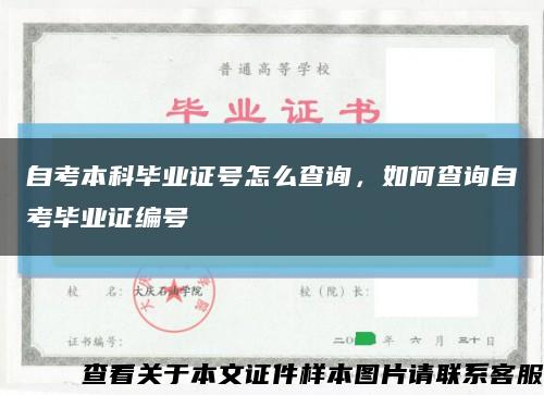 自考本科毕业证号怎么查询，如何查询自考毕业证编号缩略图