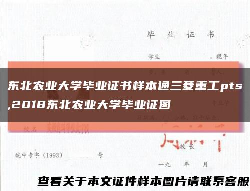 东北农业大学毕业证书样本通三菱重工pts,2018东北农业大学毕业证图缩略图