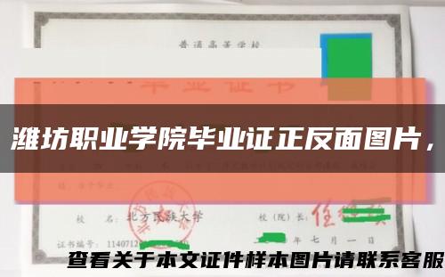 潍坊职业学院毕业证正反面图片，缩略图