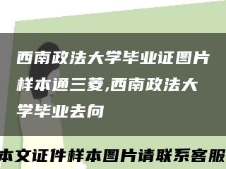 西南政法大学毕业证图片样本通三菱,西南政法大学毕业去向缩略图