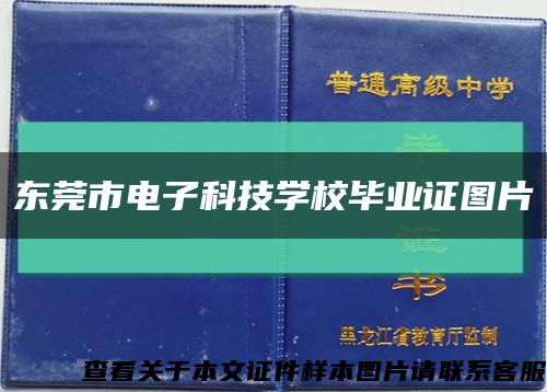 东莞市电子科技学校毕业证图片缩略图