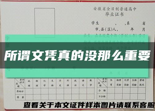 所谓文凭真的没那么重要缩略图