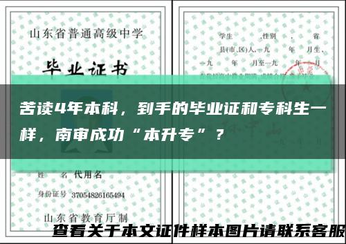 苦读4年本科，到手的毕业证和专科生一样，南审成功“本升专”？缩略图