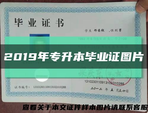 2019年专升本毕业证图片缩略图