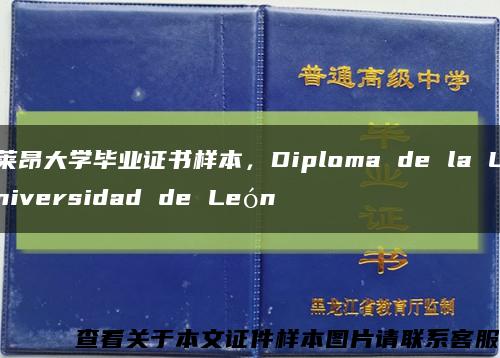 莱昂大学毕业证书样本，Diploma de la Universidad de León缩略图