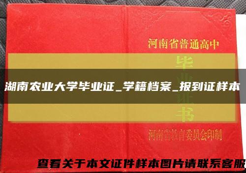 湖南农业大学毕业证_学籍档案_报到证样本缩略图