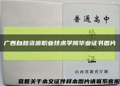 广西自然资源职业技术学院毕业证书图片缩略图