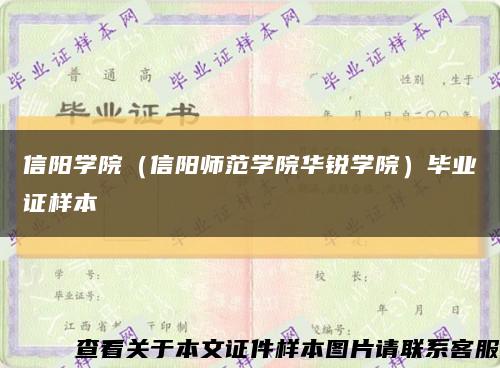 信阳学院（信阳师范学院华锐学院）毕业证样本缩略图