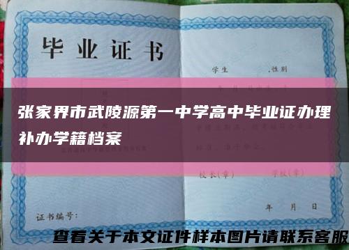 张家界市武陵源第一中学高中毕业证办理补办学籍档案缩略图