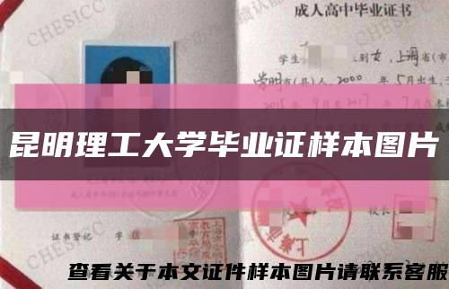 昆明理工大学毕业证样本图片缩略图