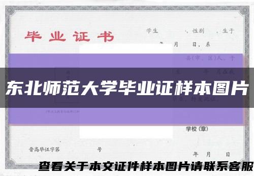 东北师范大学毕业证样本图片缩略图