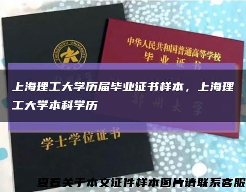 上海理工大学历届毕业证书样本，上海理工大学本科学历缩略图