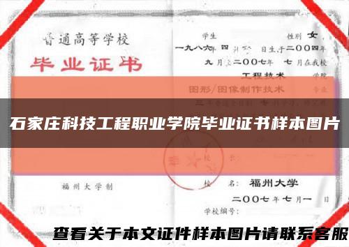 石家庄科技工程职业学院毕业证书样本图片缩略图