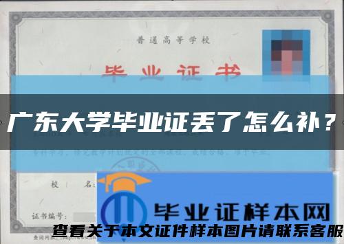 广东大学毕业证丢了怎么补？缩略图