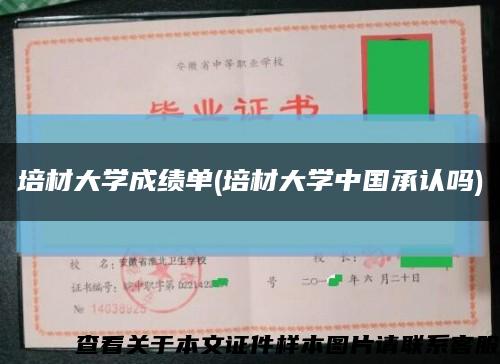 培材大学成绩单(培材大学中国承认吗)缩略图