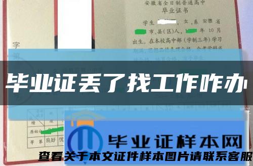 毕业证丢了找工作咋办缩略图