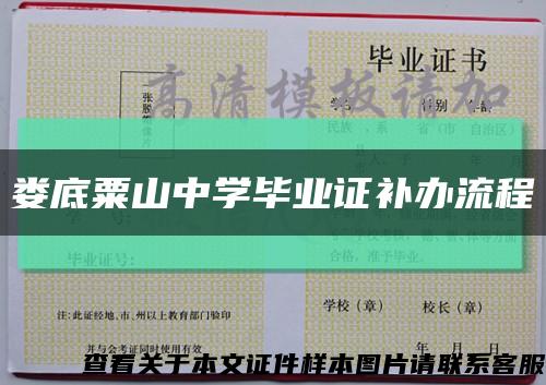 娄底粟山中学毕业证补办流程缩略图