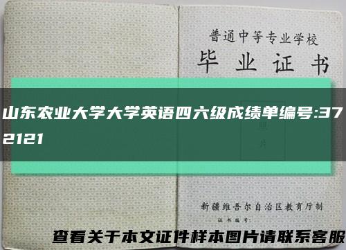 山东农业大学大学英语四六级成绩单编号:372121缩略图