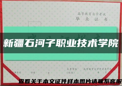 新疆石河子职业技术学院缩略图