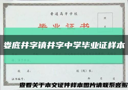 娄底井字镇井字中学毕业证样本缩略图